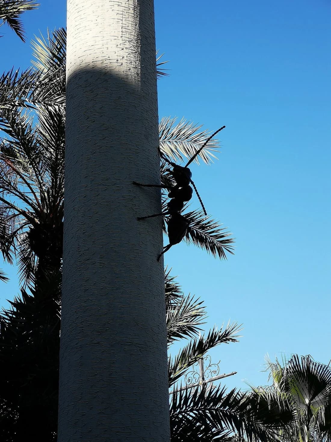 Jardin des Arts de Marrakech — photographie 5