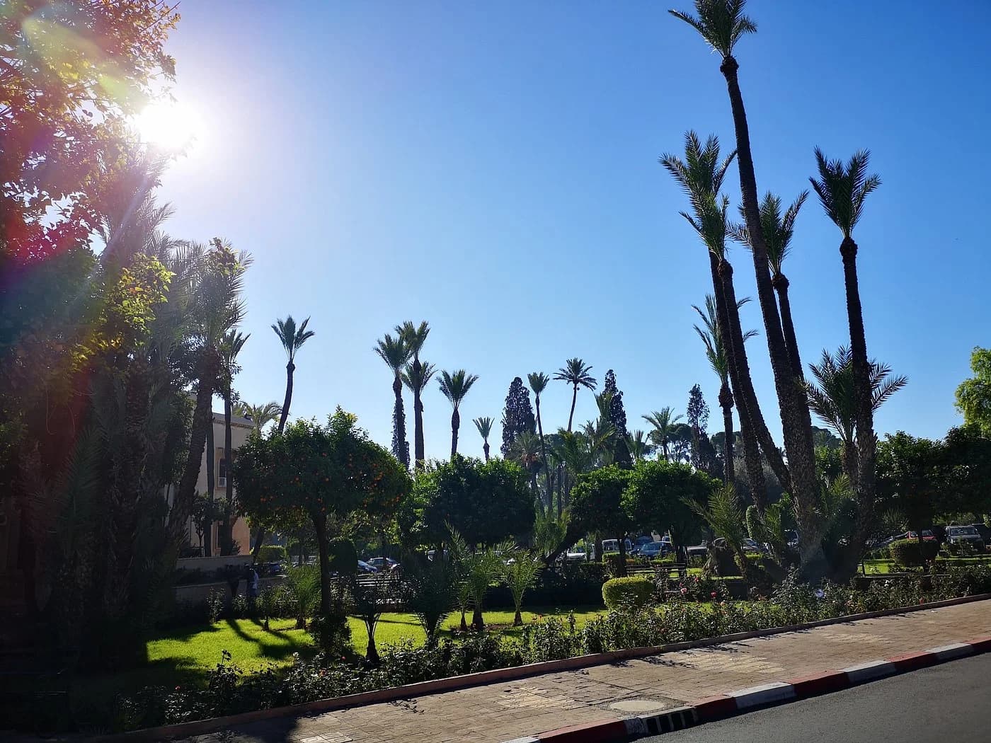 Jardin des Arts de Marrakech — photographie 8