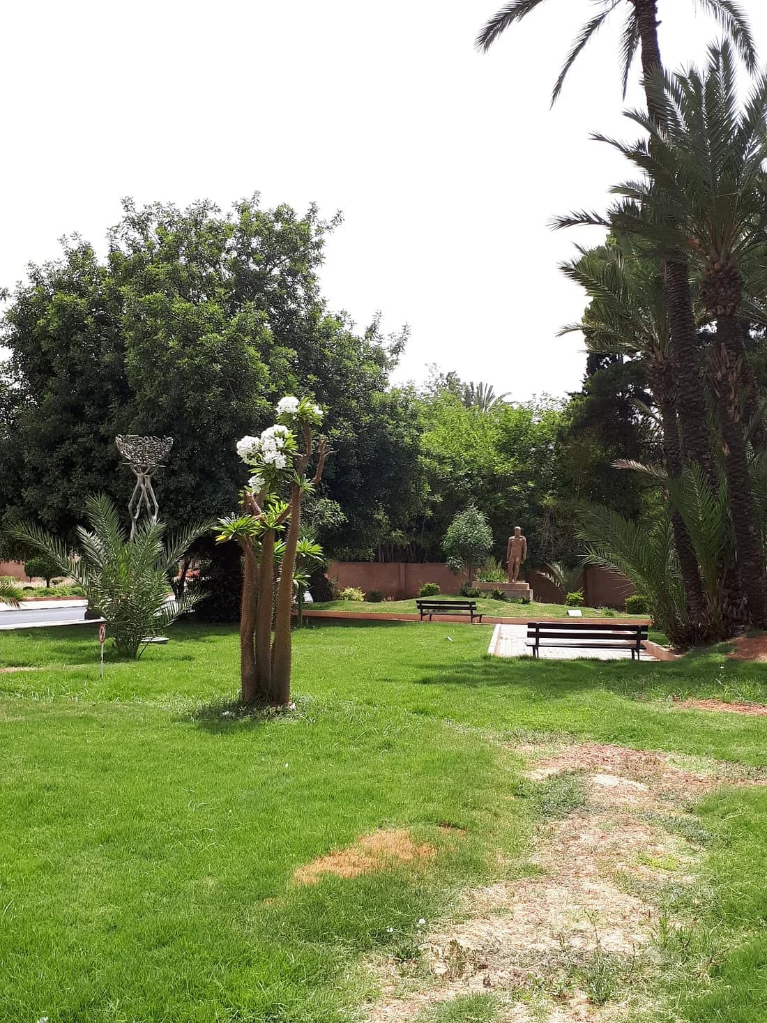 Jardin des Arts de Marrakech — photographie 13